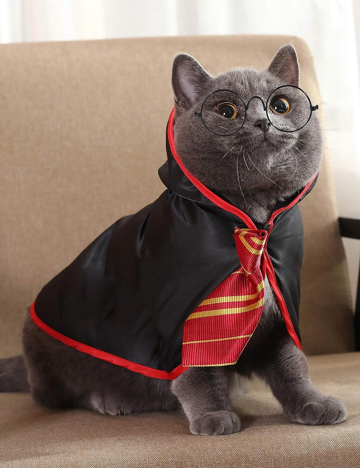 Cat Halloween Costume Anime Pet Clothes for Small Dog Kitten Costume Wizard Accessories Outfits (M)