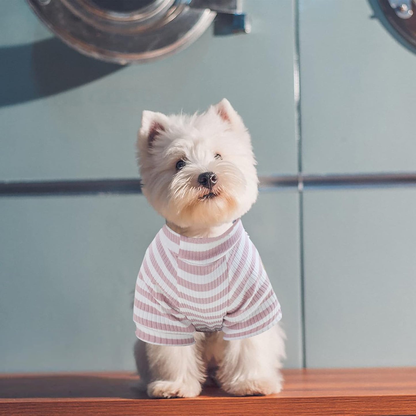 Dogs PJS Clothes for Small Dogs Girl Puppy Pajamas Long Sleeved Onsie Warm Coats Jumpers Outfits