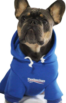 Stylish Streetwear Blue Dog Sweatshirt Tracksuits, Cats Hoodies, Dog Outfit for Cat Puppy Small Medium (XL)