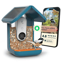 Solar Powered Bird Feeder with Camera & AI Species Detection - Blue Solar
