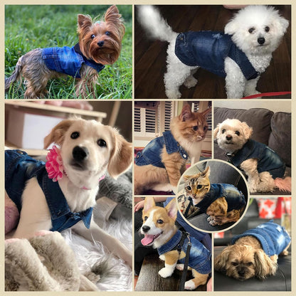 Cool Blue Dog Jean Jacket Small Pet Outfits Dog Clothes for Small Medium Dogs Cats Boys Girls Pet Vest Denim Coats Puppy Shirts Doggy Costume Clothing for Shih Tzu Chihuahua Yorkie Teacup