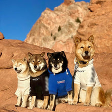 Stylish Streetwear Blue Dog Sweatshirt Tracksuits, Cats Hoodies, Dog Outfit for Cat Puppy Small Medium (XL)