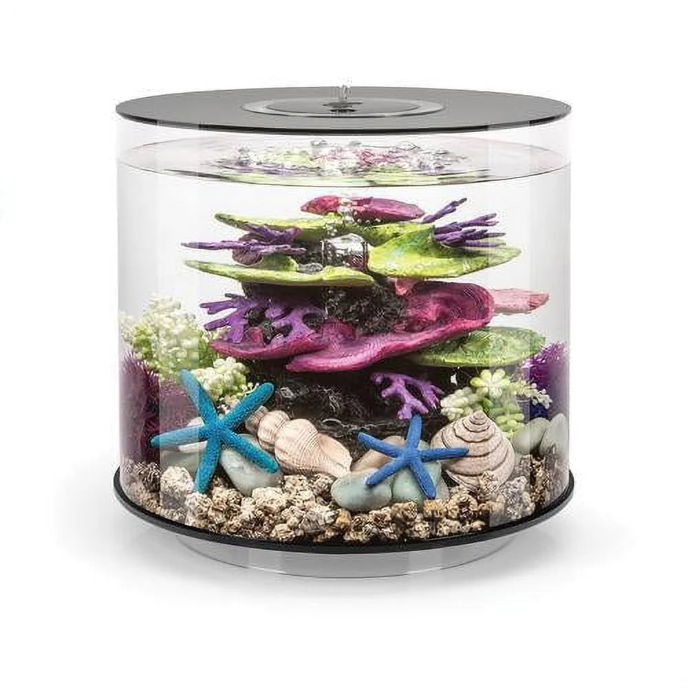 TUBE 15 Aquarium with Standard Light - 4 Gallon, Black, Acrylic