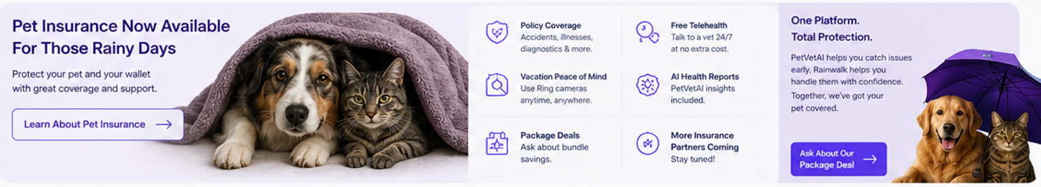 Pet insurance now available