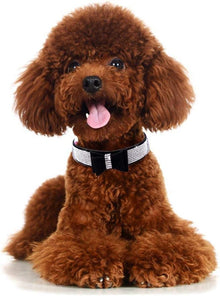 Rhinestone Dog Collar, Cute Dazzling Sparkling Soft Suede Leather Dog Cat Rhinestone Collar Crystal Diamond Pet Dog Puppy Collar (XS, Black-1)