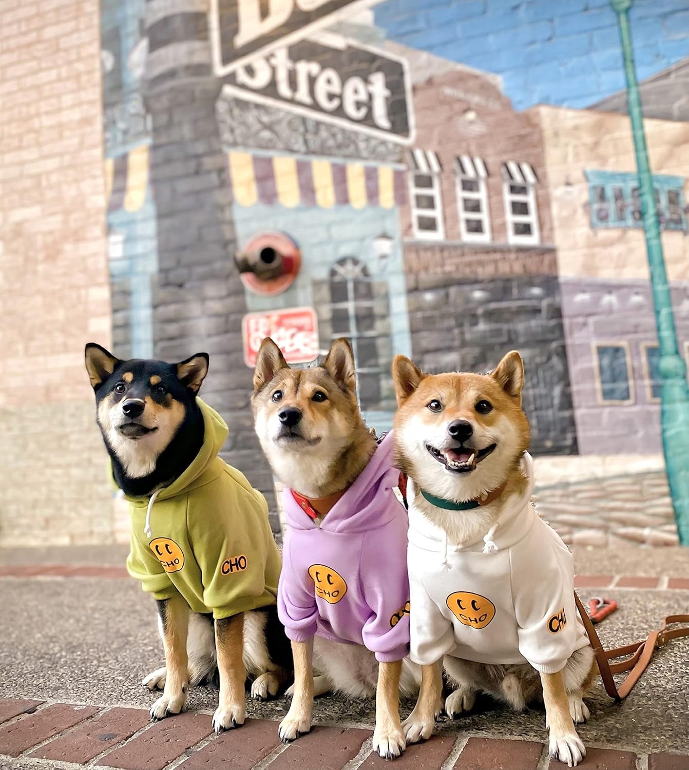 Smiley Dog Hoodie Stylish Dog Clothes Smiley Face Sweater Cotton Sweatshirt Fashion Outfit for Dogs Cats Puppy Small Medium Large (S, Purple)